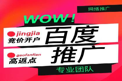 百度推广案例：精准锁定目标客户，提升转化率